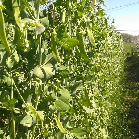 Aristondo * San Sebastián