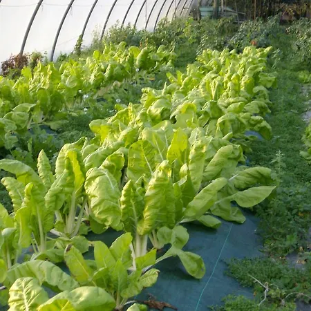 Εξοχικό σπίτι Aristondo