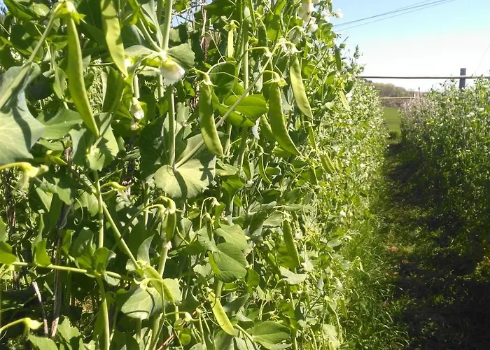 Aristondo * Сан-Себастьян