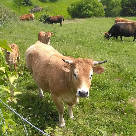 컨트리하우스 Aristondo 산세바스티안