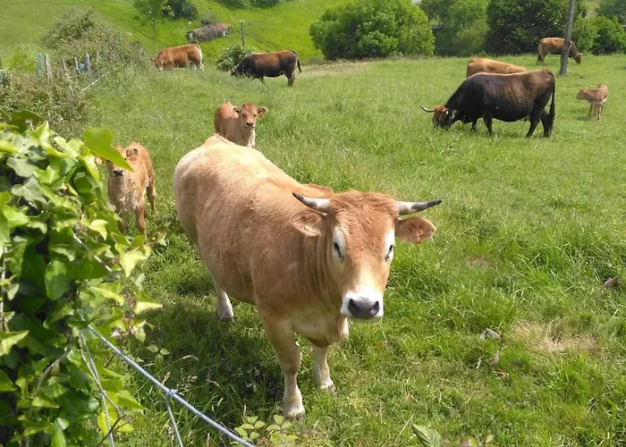 컨트리하우스 Aristondo 산세바스티안